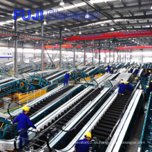 Japón-China se unen a la FUJI Escalera mecánica para la venta